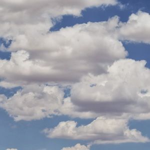 Meet your Posher, Noelle